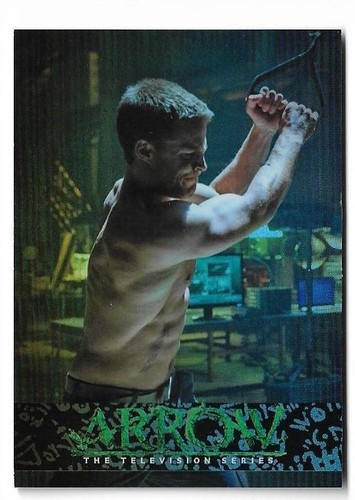 2015 cryptozoic arrow season - arrow,