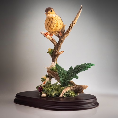 Leonardo song thrush bird - leonardo,