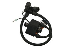 Genuine IGNITION COIL & LEADS