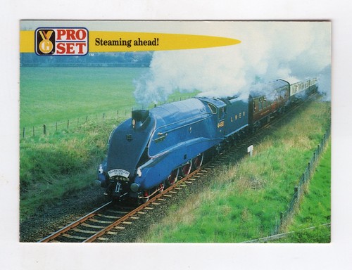 The steam train - , ‘mallard'