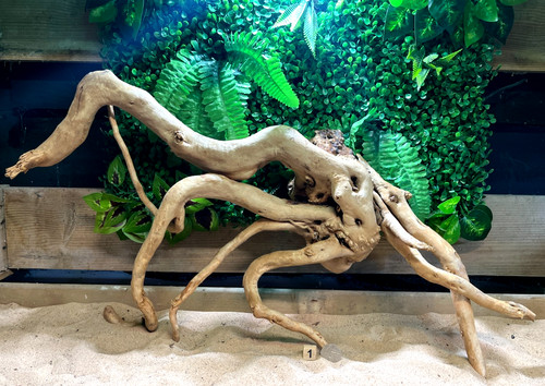 Red moor wood root aquarium - wood,