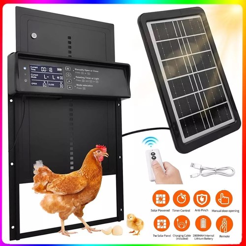 Automatic chicken coop - coop, door