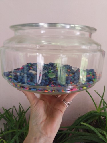 Vtg glass fish - bowl, beta