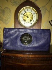 STUNNING MULBERRY CORNFLOWER