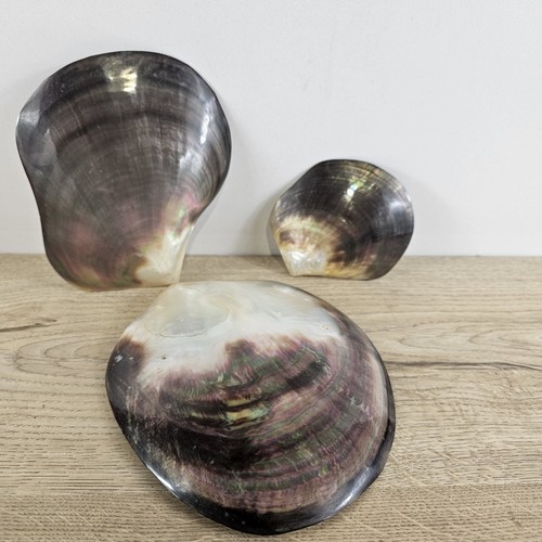 Natural half shell - natural,