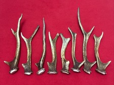 8 PIECES OF SIKA DEER ANTLERS