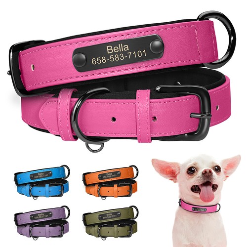 Personalized dog collars - personalized,