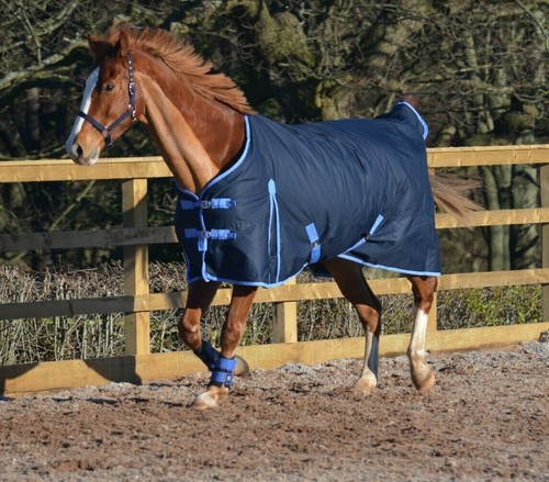 Navy 100g lightweight - lightweight, 600d