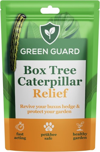 Green guard box tree - guard,