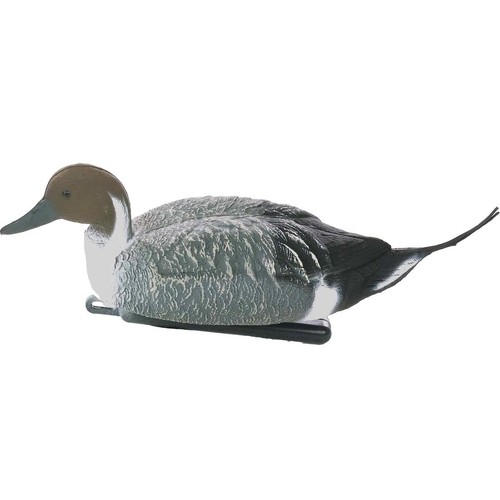 Sport plast pintail drake - sport,