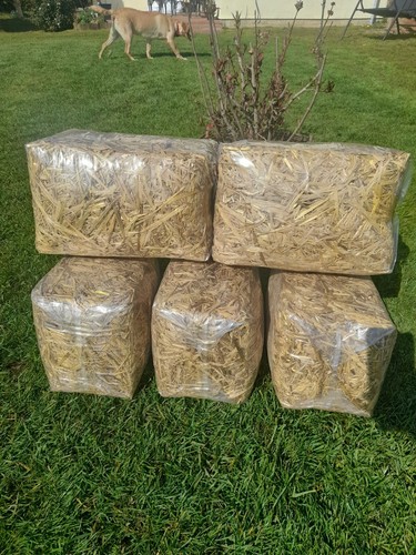 Top quality small 1kg straw - top,