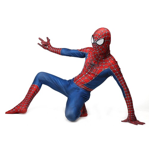 Classic raimi spiderman - spiderman, adult