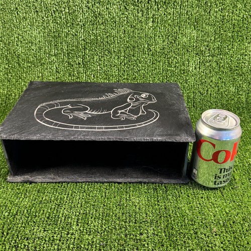Iguana laser engraved - iguana,