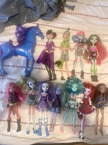 Monster high doll bundle - doll,