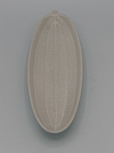 Poole pottery twintone - pottery, seagull