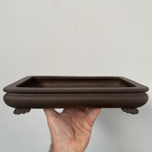 Bonsai pot 6x20 - bonsai,