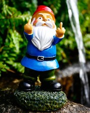 Funny Garden Gnomes, Colorful