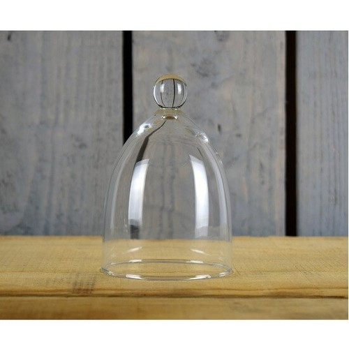 Glass display dome - glass,