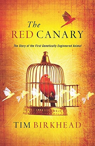 The red canary - the, of