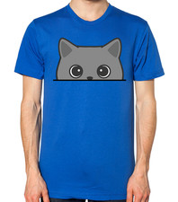 Peeking British Shorthair