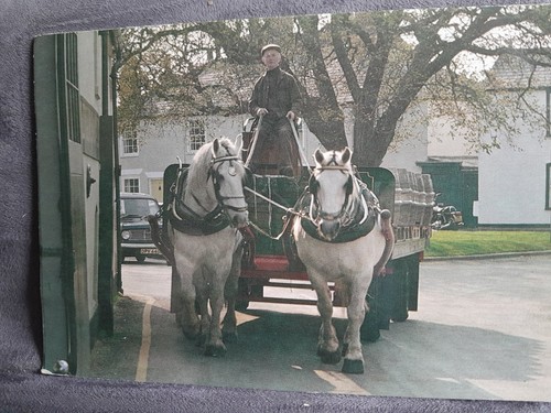Southwold brewers dray 35599