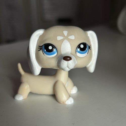 Littlest pet shop painted - pet,