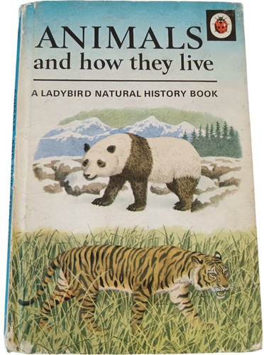 Animals and how they live - animals,