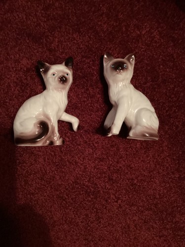 Excellent pair siamese cats - excellent,