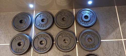 20kg york one inch - york,