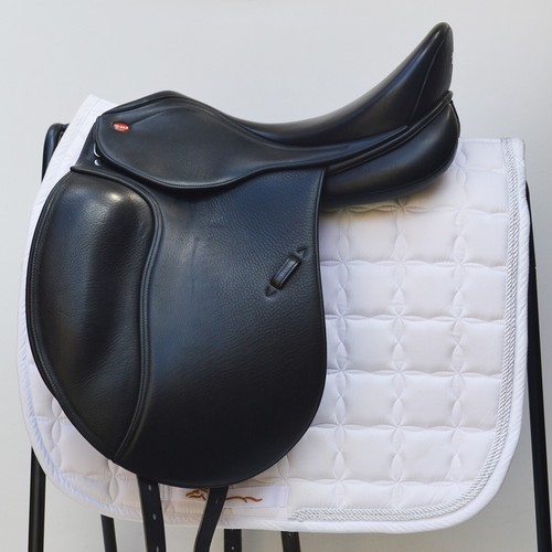 Whitaker harrogate dressage - whitaker,