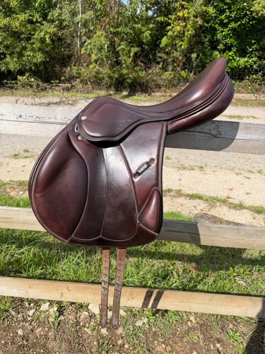 Amerigo vega medium - amerigo,