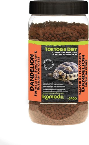 Complete holistic tortoise - holistic,