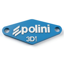 Polini Custom Minarelli