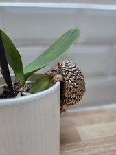 New Resin Plant Pot Pals