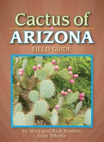 Cactus arizona field - cactus,