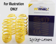 A-MAX Lowering Springs for