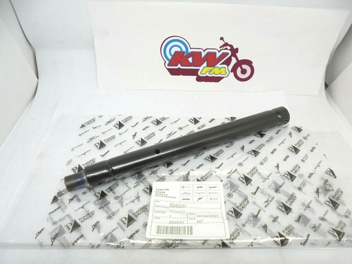 Aprilia rs50 rs125 derbi - rs50,