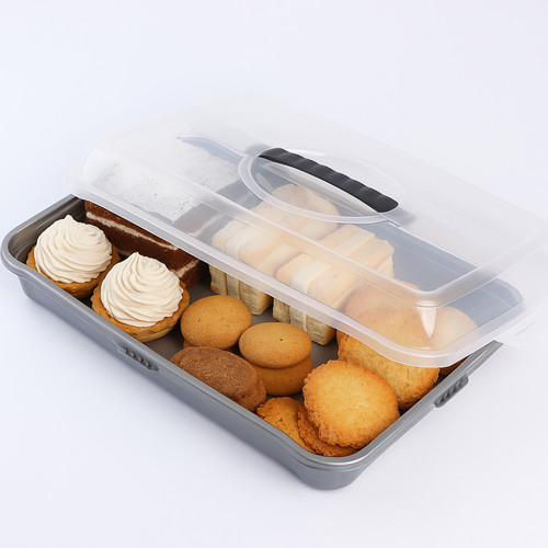 Plastic rectangular food - rectangular,