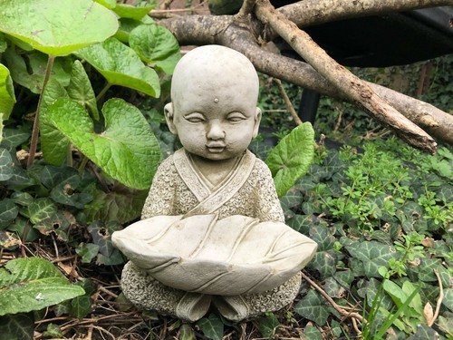 Monk leaf bird - monk, feeder