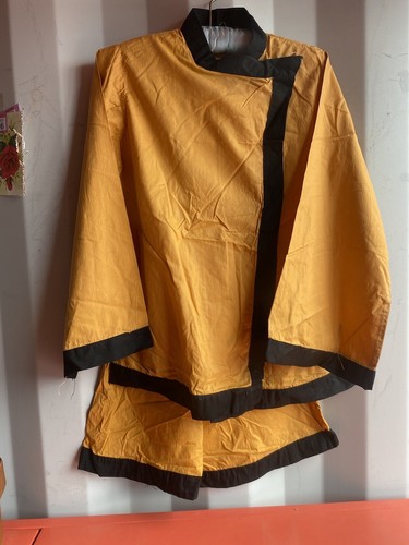 Pantomime aladdin costume - pantomime,