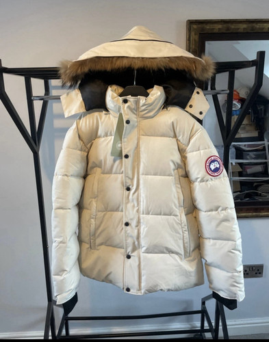 Canada goose arctic program - canada,