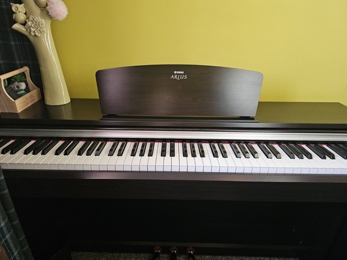 Yamaha arius ydp135 digital - arius,