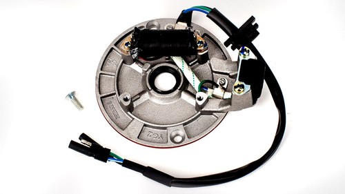 Stomp pit bike - stator, plate