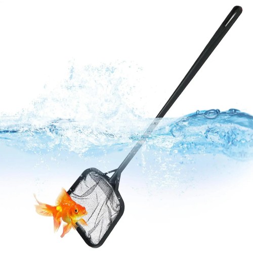 Small swimming pool leaf - swimming,