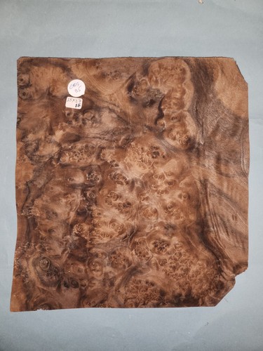 American walnut burr veneer - walnut,