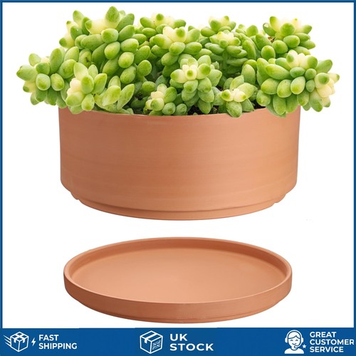 Elegant round terracotta - elegant,