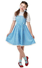 Dorothy Costume.  The Wizard of Oz. Large 7-8 years