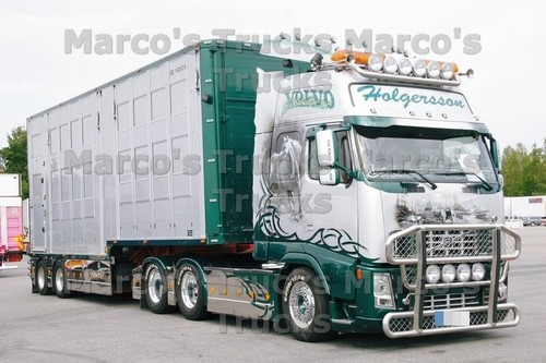 Truck photo volvo fh16 animal - volvo,