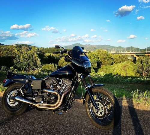 Exhaust custom fit - exhaust, harley