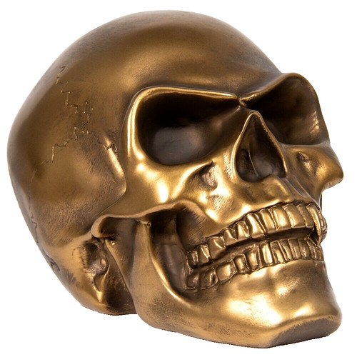 Skull head ornament sculpture - head,
